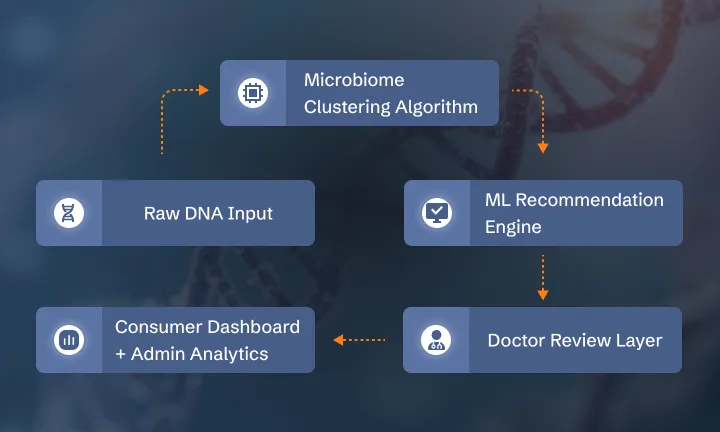 Diagram of ML pipeline for skincare: from DNA input to microbiome clustering, doctor review, and HIPAA-compliant dashboard.